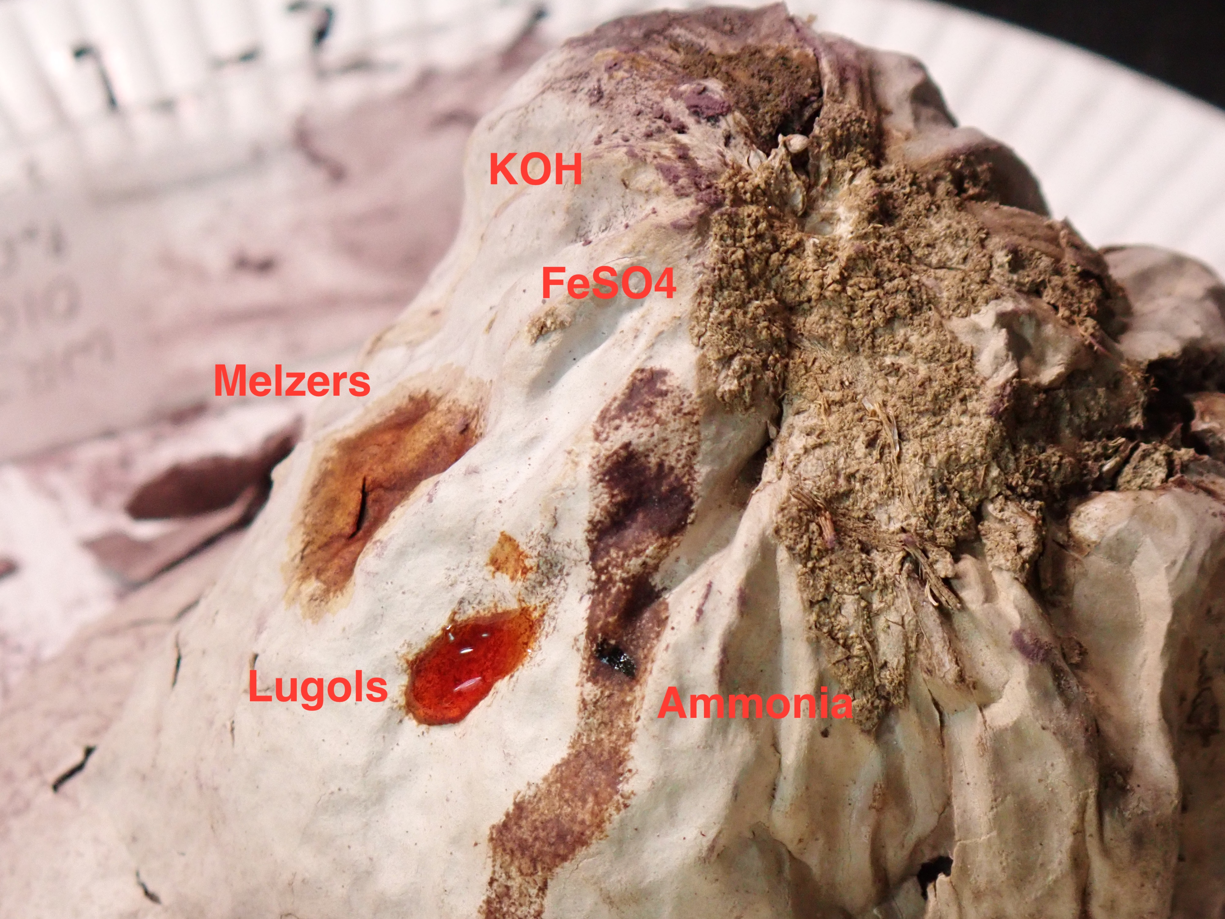 Chemical Test Results